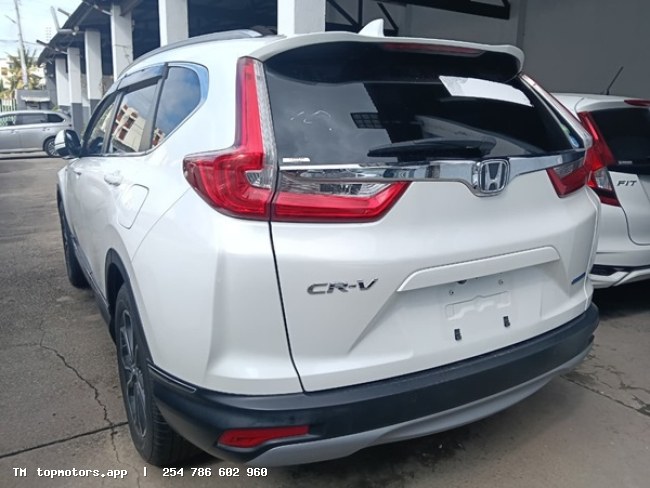 Listing intake from Kawai Trading Co Ltd - Vehicle cluster 1