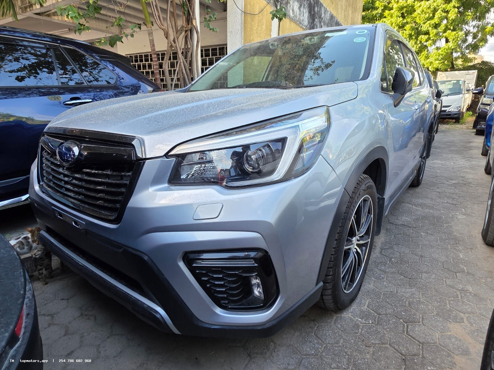 Subaru Forester photo 1 of 9